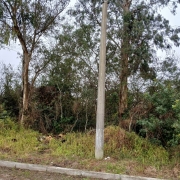 14194321-gpe-20845.jpg