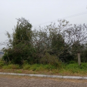 14195539-gpe-28072.jpg
