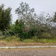 14200036-gpe-20849.jpg