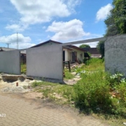 24102441-gpe-17360.jpg