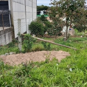 21151755-gpe-29261.jpg